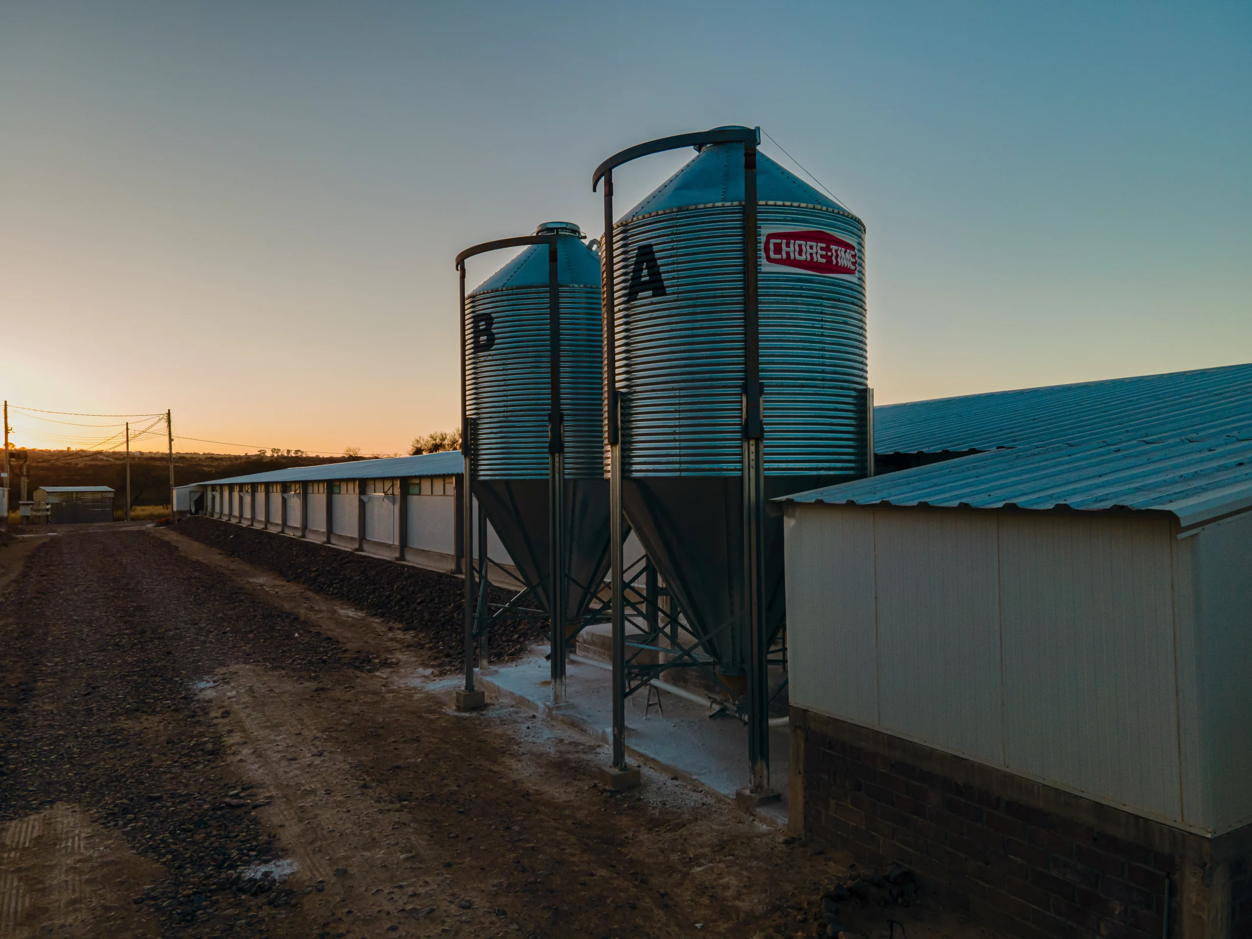 Tendencias en la Agroindustria para el Futuro