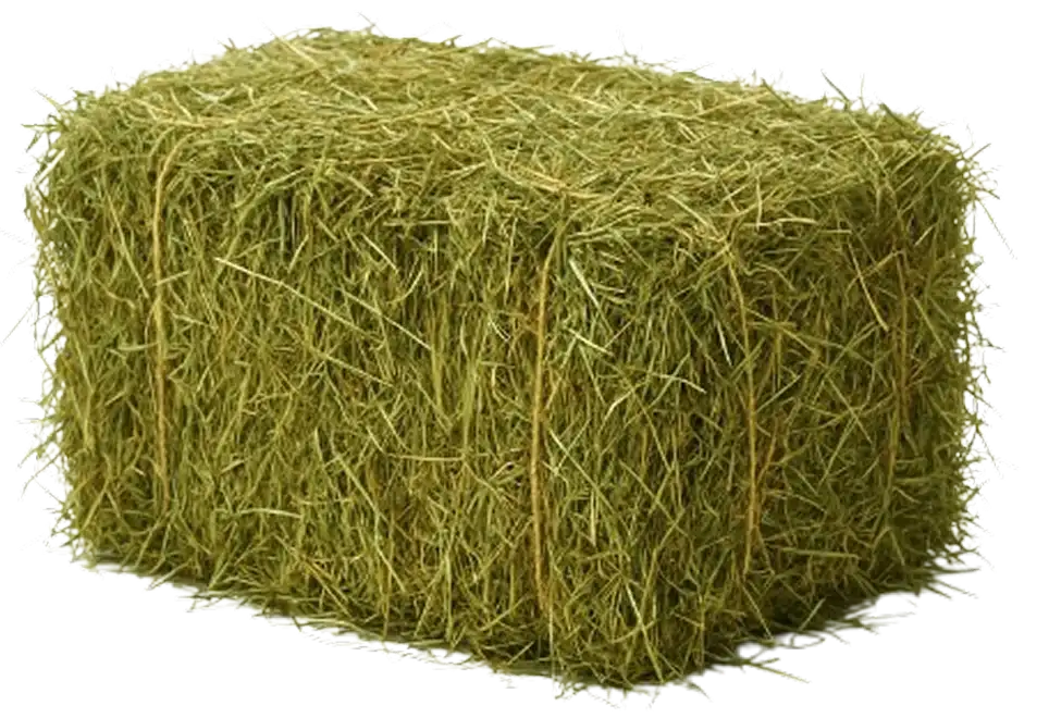 Forraje y Agricultura